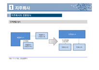 경영학 - 지주회사 (Holding Company)-5