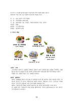 (방통대 2020-1)자신이 생각하고 있는 창업 혹은 알고 있는 창업 사례 등을 생각해 보고 사업 기회의 발견 및 기회평가를 설명해보고 간략한 사업계획서를 작성해보시오.-10