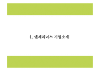 엔젤리너스 상황분석과 마케팅 SWOT,STP,4P분석및 엔제리너스 미래전략수립 PPT-4
