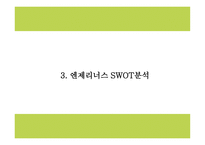 엔젤리너스 상황분석과 마케팅 SWOT,STP,4P분석및 엔제리너스 미래전략수립 PPT-8