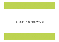 엔젤리너스 상황분석과 마케팅 SWOT,STP,4P분석및 엔제리너스 미래전략수립 PPT-16