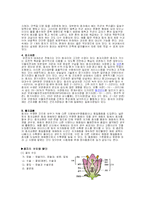 종자의 구조와 발아-3