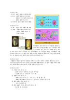 종자의 구조와 발아-4