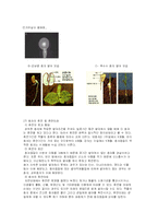종자의 구조와 발아-7