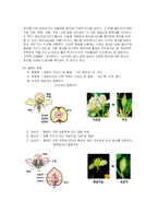 종자의 구조와 발아-8