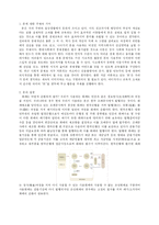 [아동사회교육] 경제- 돈의 사용 교육계획안-5