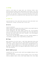 [교육심리학] 프로이드의 심리성적 이론-5