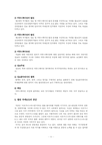 [정치커뮤니케이션] 국제 정보의 유통과 정보 민주주의-11