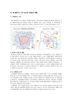 [역사정치학] 서경천도 운동, 그 끊이지 않는 논쟁- 노무현의 행정수도 이전과 관련하여-15