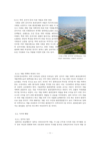 [지역과 환경] 시화호 남측 간석지 개발 계획에 대한 분석-11