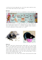 생명공학의 폐해-‘가족’의 파괴-14