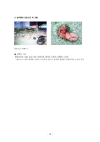 [영상커뮤니케이션] 사진에 대해 기호학적인 분석-13