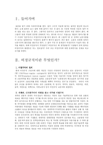 [노동사회] 비정규직에 대해서-3