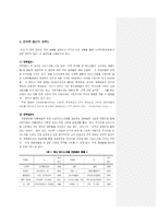 프리미엄아이스크림 시장과 나뚜루 전략적 방향 분석-6