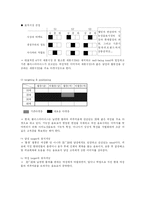 [마케팅기획] 아미노산 음료 플러스마이너스 재활성화 전략-5