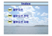 블루오션전략 레포트-2