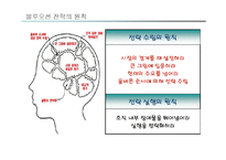 블루오션전략 레포트-9
