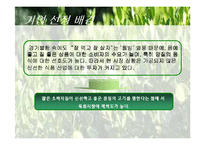 인터넷 육류시장진출 사업계획서-3