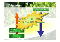 인터넷 육류시장진출 사업계획서-17