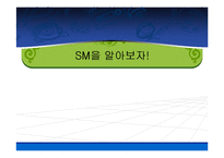 [경영전략성공사례] SM Entertainment)(sm엔터테인먼트) 의 성공전략-6