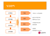 [인적자원관리] LG화학 인사체계분석-19
