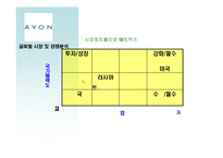[글로벌마케팅] 미국의 글로벌 정책과 한국 -AVON(에이본)과 Anycall(애니콜)의 사례-9
