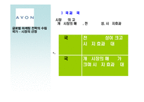 [글로벌마케팅] 미국의 글로벌 정책과 한국 -AVON(에이본)과 Anycall(애니콜)의 사례-10