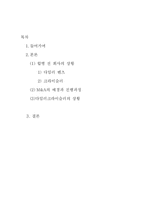 [조직관리] 다임러크라이슬러의 조직문화 -M&A전,후를 비교를 통하여-2