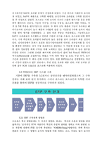 [경영정보] 포스코 POSCO의 ERP 도입 사례-2