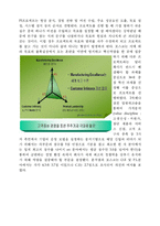 [경영정보] 포스코 POSCO의 ERP 도입 사례-4