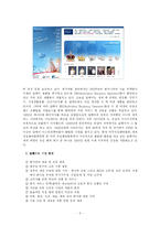 [조직행동론] 암웨이 Amway의 조직 구조 분석과 미래의 전략 탐구-3