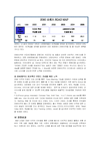 [마케팅] 애경산업 2080 마케팅성공사례-8