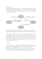 [금융 사고 사례 분석] 신니찌테쯔카각구 사례-6