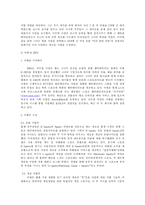 [경영학] 벤처계의 스타, 이수영 CEO-4