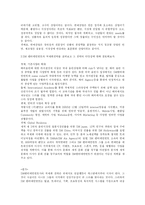 [국제경영] SM 엔터테인먼트의 국제화 전략과 향후 발전 과제-3