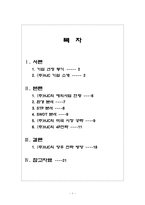 [국제마케팅](주)HJC 홍진크라운 의 해외시장 진출 - 미국 시장 사례-1