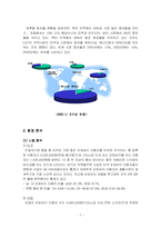 [국제마케팅](주)HJC 홍진크라운 의 해외시장 진출 - 미국 시장 사례-7