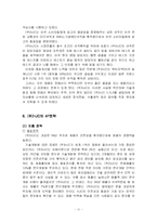 [국제마케팅](주)HJC 홍진크라운 의 해외시장 진출 - 미국 시장 사례-11