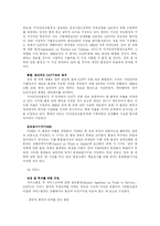 WTO란 레포트-4