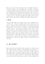 [마케팅]휴아유 마케팅 분석-이랜드-5