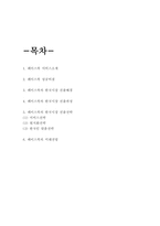 페이스북 한국시장 진출전략분석과 미래전망-2