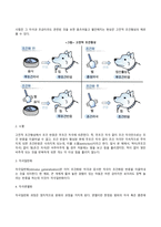 [행동주의 학습이론] 파블로프의 고전적 조건화, 스키너의 조작적 조건화, 반두라의 사회학습이론-4