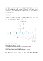 [조직구조의 형태] 전통적 조직구조, 현대조직구조-8