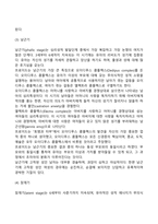 프로이드(Freud)의 정신분석이론-10