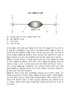 융(Jung)의 분석심리학(분석심리이론)-7