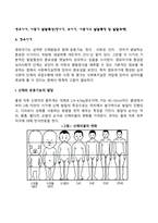 영유아기, 아동기 발달특성(영아기, 유아기, 아동기의 발달특징 및 발달과제)-3