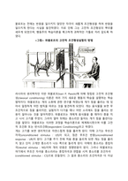 [행동주의이론] 파블로프, 왓슨의 고전적 조건형성이론, 스키너의 조작적 조건형성이론-5