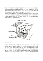 [행동주의이론] 파블로프, 왓슨의 고전적 조건형성이론, 스키너의 조작적 조건형성이론-11