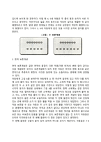 피아제의 인지발달이론-6