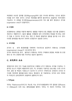 [경영조직] 조직화 - 기업에서의 조직화, 조직화의 과정과 요소 및 원칙-5